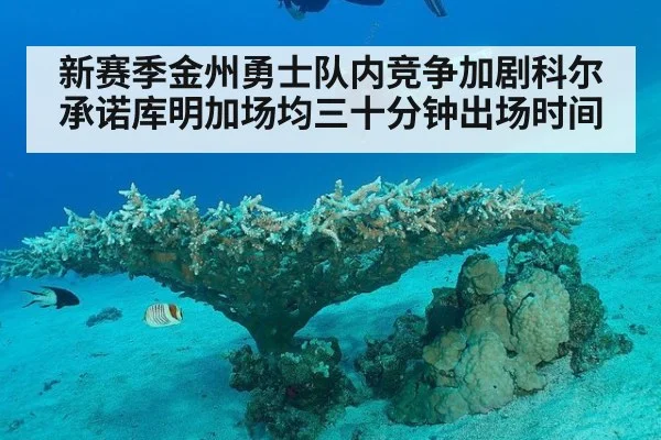 新赛季金州勇士队内竞争加剧科尔承诺库明加场均三十分钟出场时间